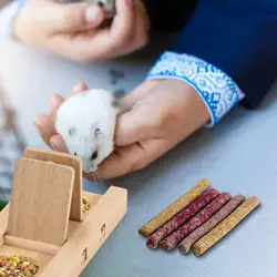 Wooden Rodent Small Pet Interactive Hide Puzzle Toy