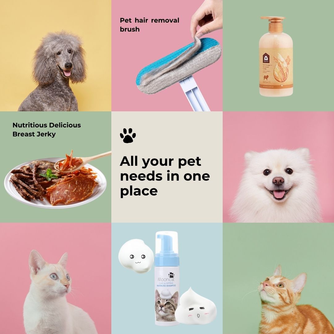 Hot Recommend Image