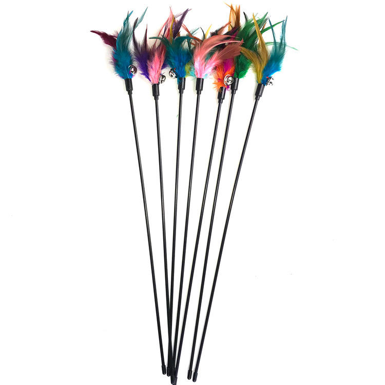 Interactive Cat Feather Wand Toy with Bell for Kitten Teaser Play
