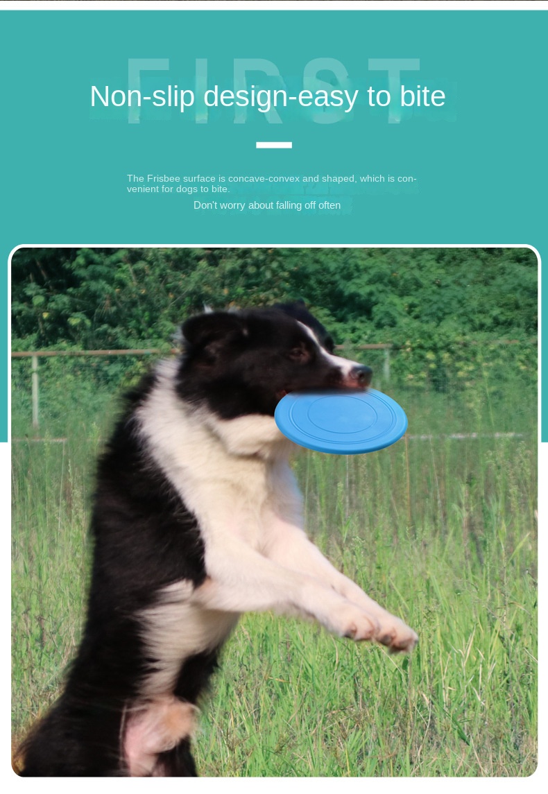 Pet Soft Frisbee 3