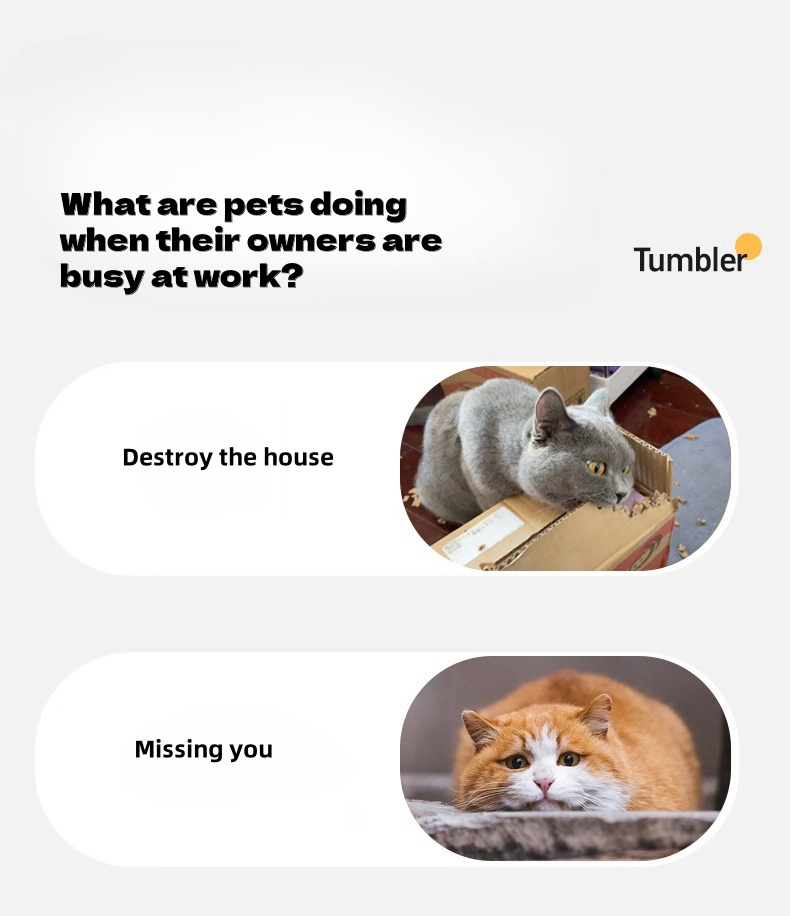 Hot Sales Pet Toy 360° Automatic Interactive Dog Smart Ball Toy With Rope Interactive Cat Toys USB Charger Rolling Ball for Cats