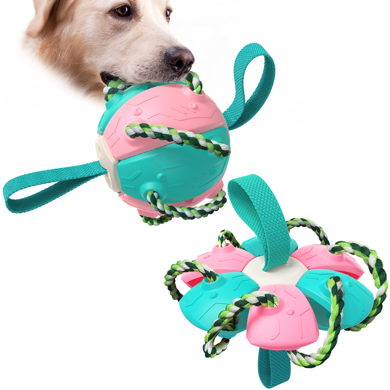Dog Toy Detail 1