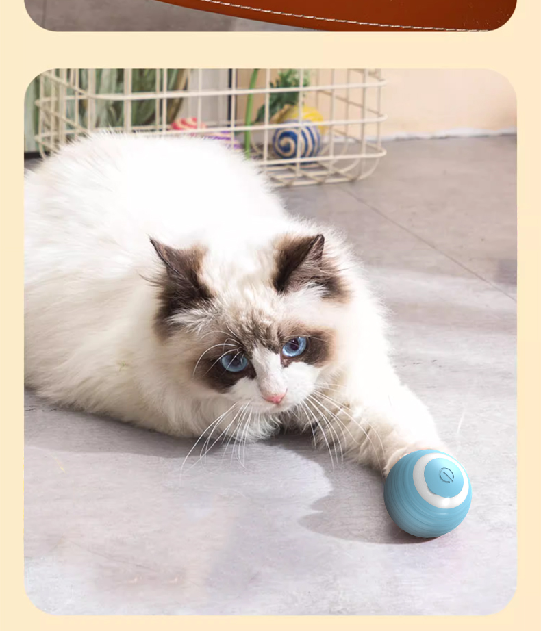 Electric Pet Rolling Ball Features 9