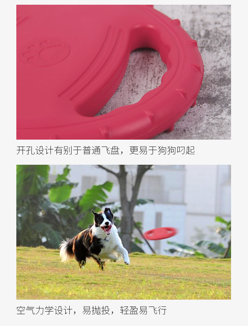 Dog Toy Showcase 3