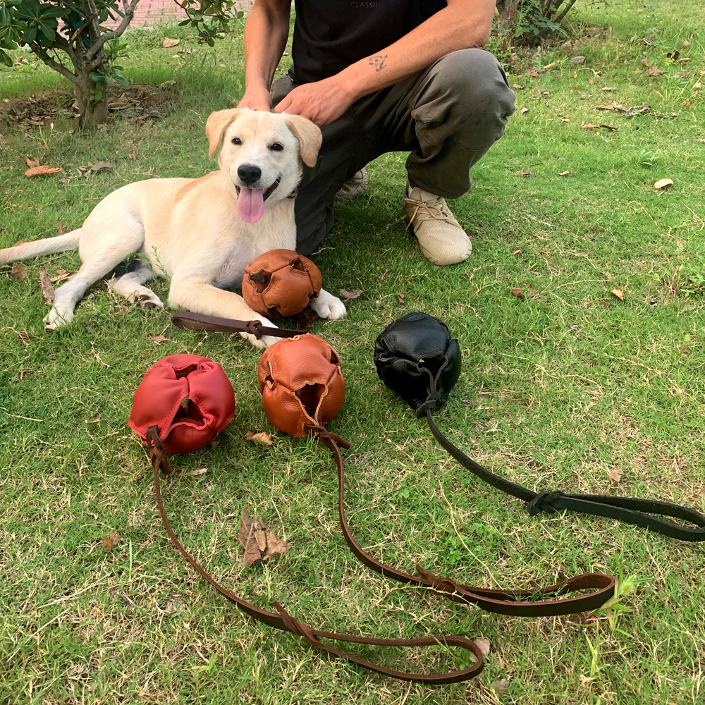 Dog tug toy image 1