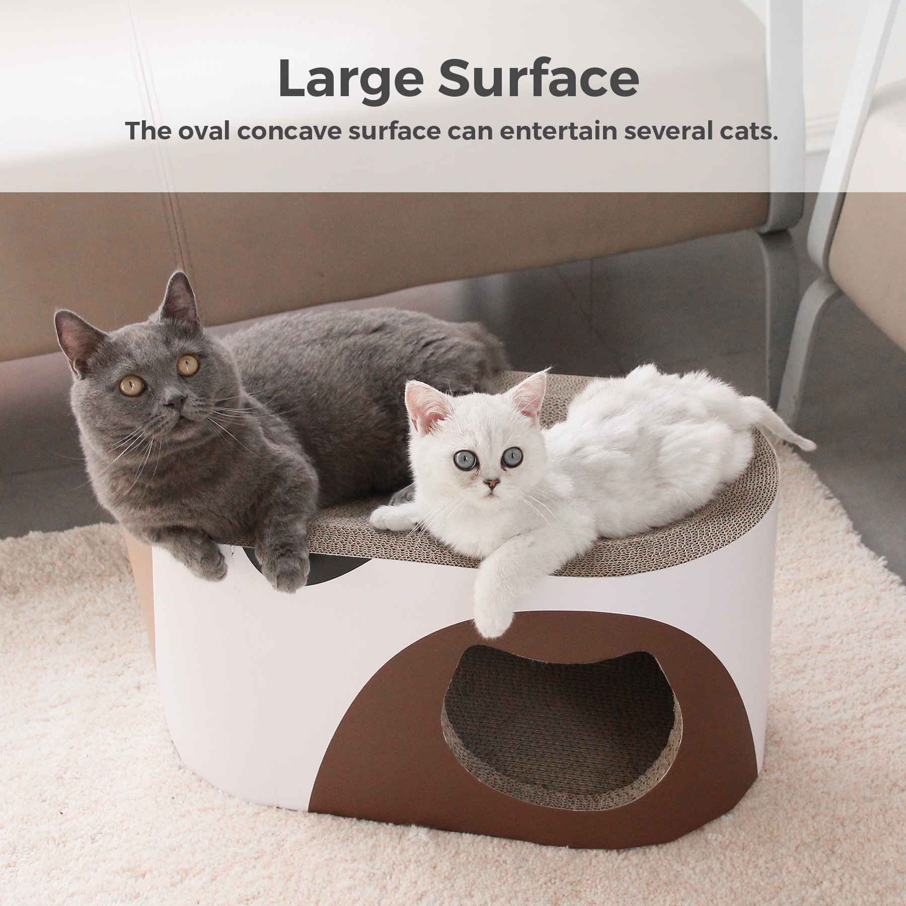 Product View 10