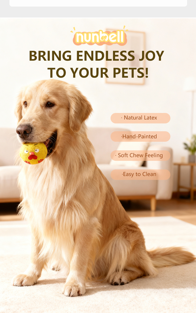 Pet Supply Showcase 3