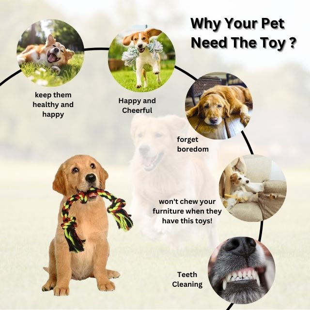 3 Knot Dog Rope Toy View 3
