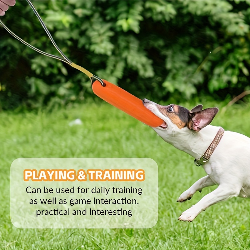 Dog Toy Product Display 1