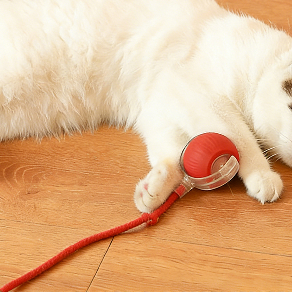 Interactive Cat Ball Toy Automatic Rolling Ball With Tail Rechargeable Smart Pet Interactive Toy Intelligent Mouse For Cat