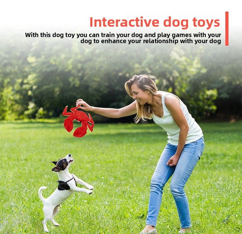 Pet Toy Feature 5