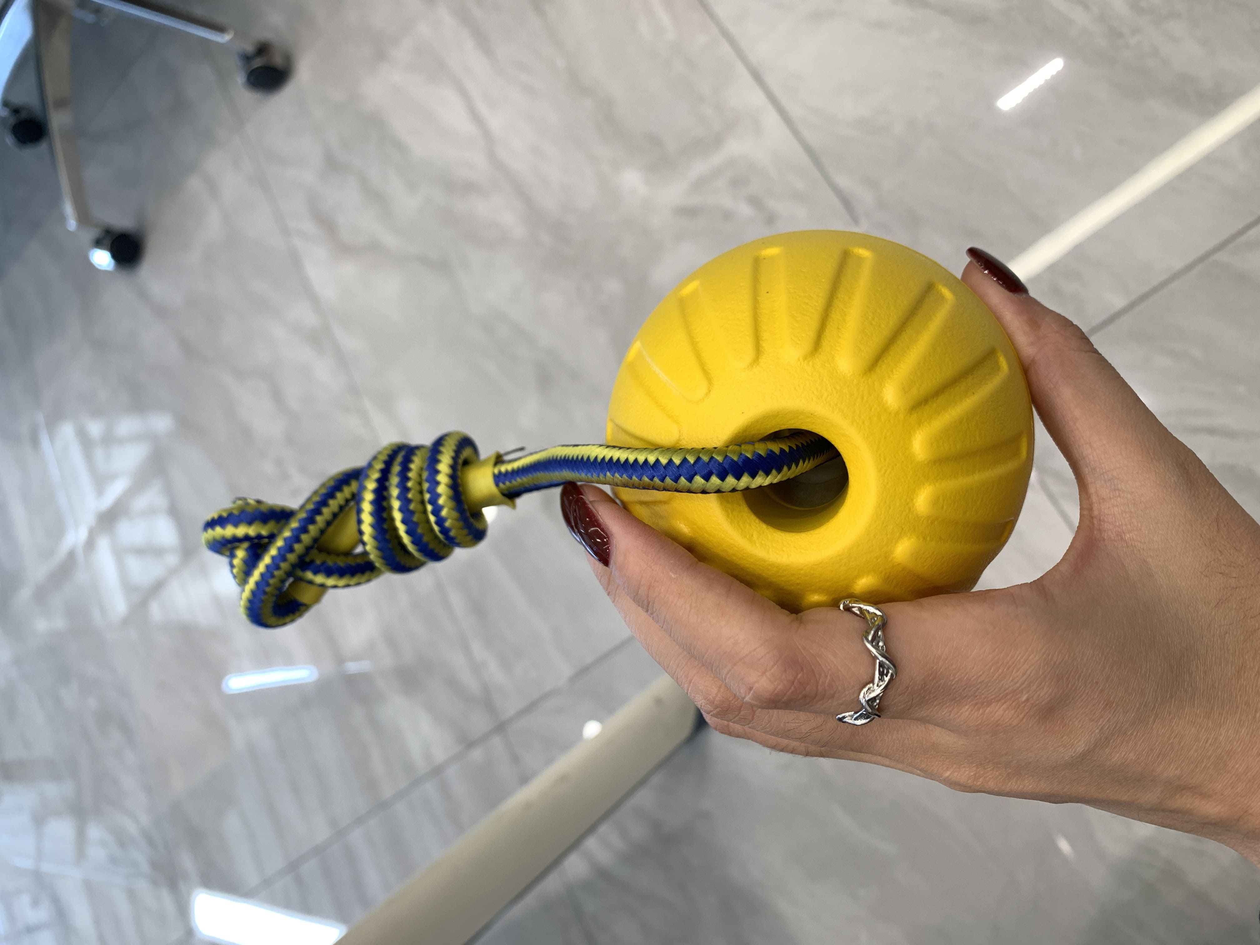 Dog Toy Image 5