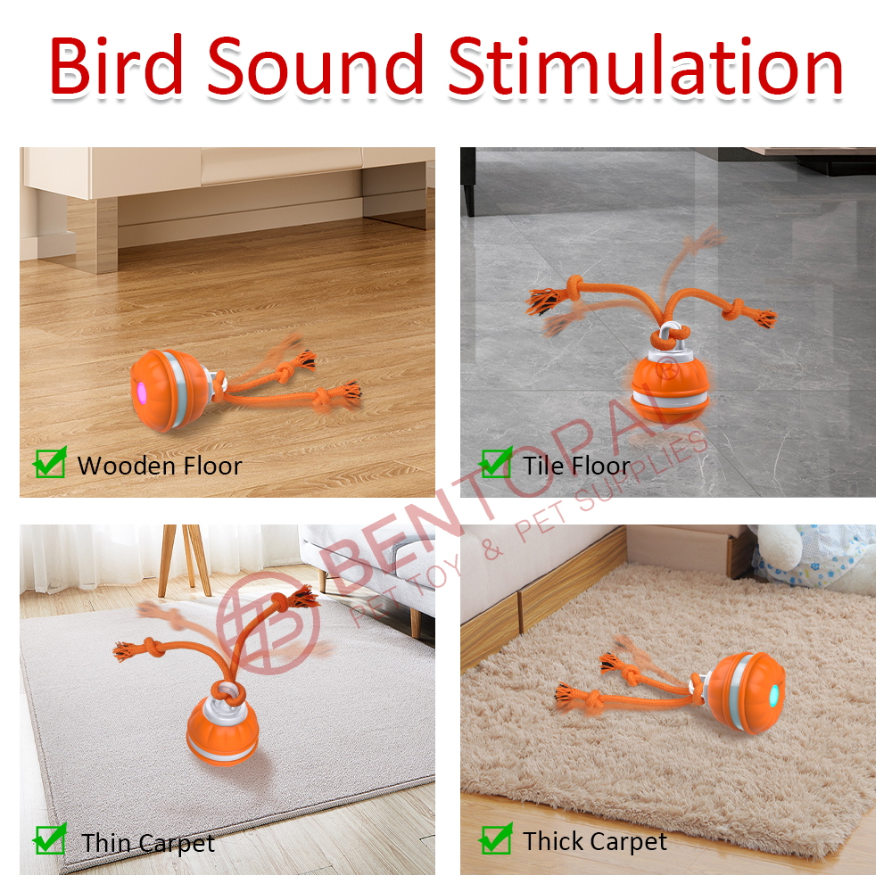 Peppy Pet Ball for Dogs - Interactive Motion Activated Rolling Ball for Puppies/Small Dogs