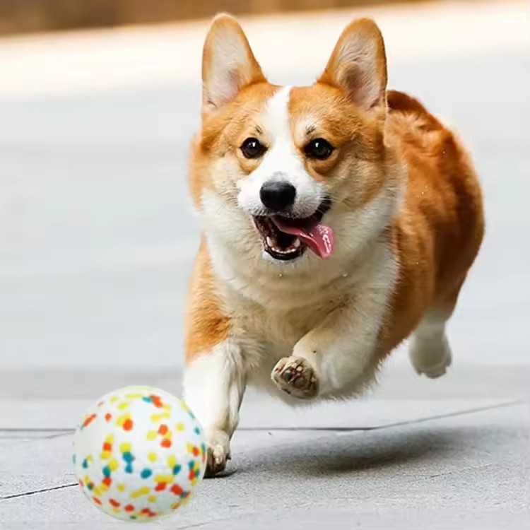 Pet Chew Toys Multi Cluster ETPU Chew Ball High Bounce Rebound Pet Toys Wholesale for Pool Beach Lake Water Floating Game