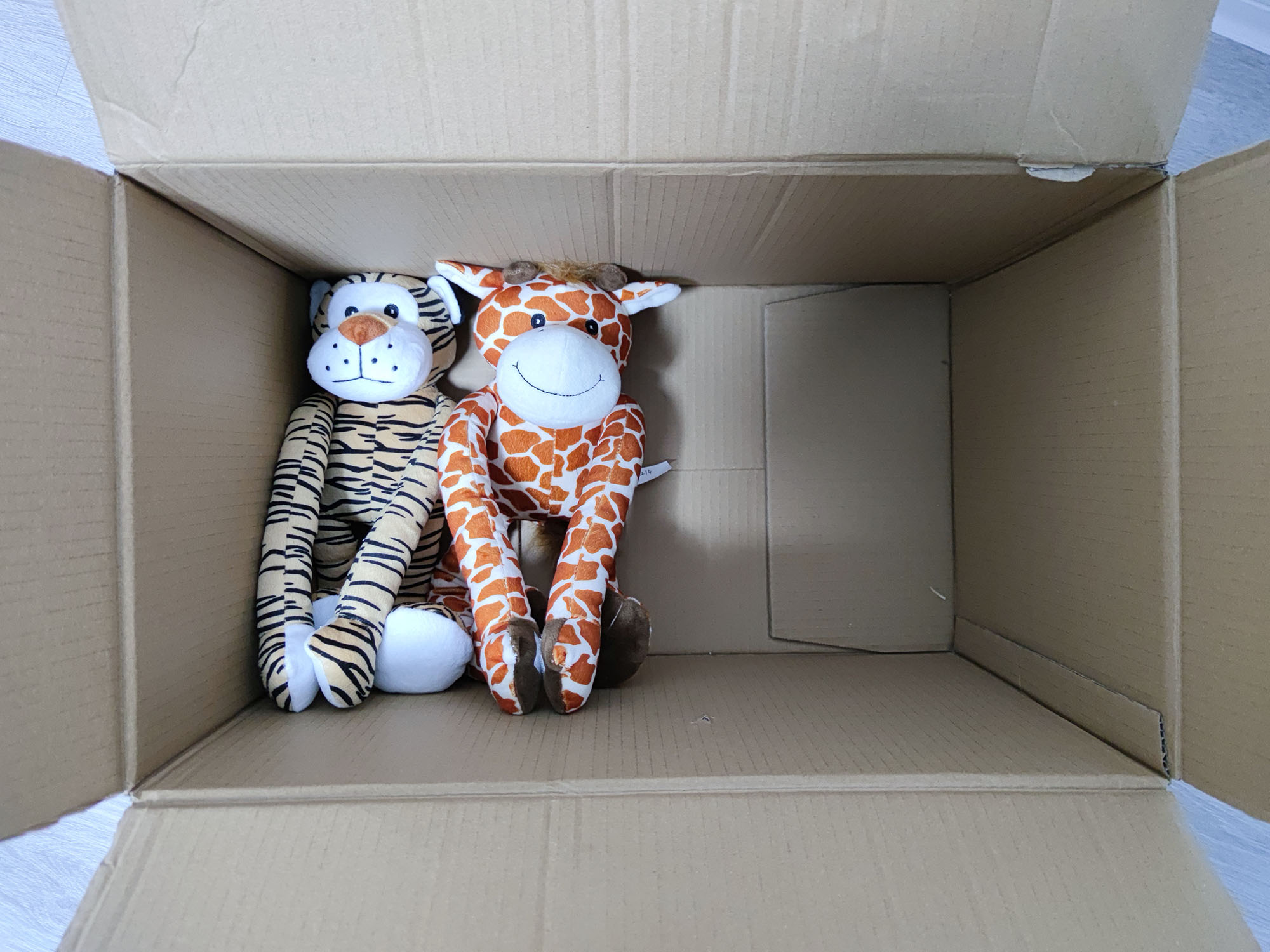 Goods in Carton