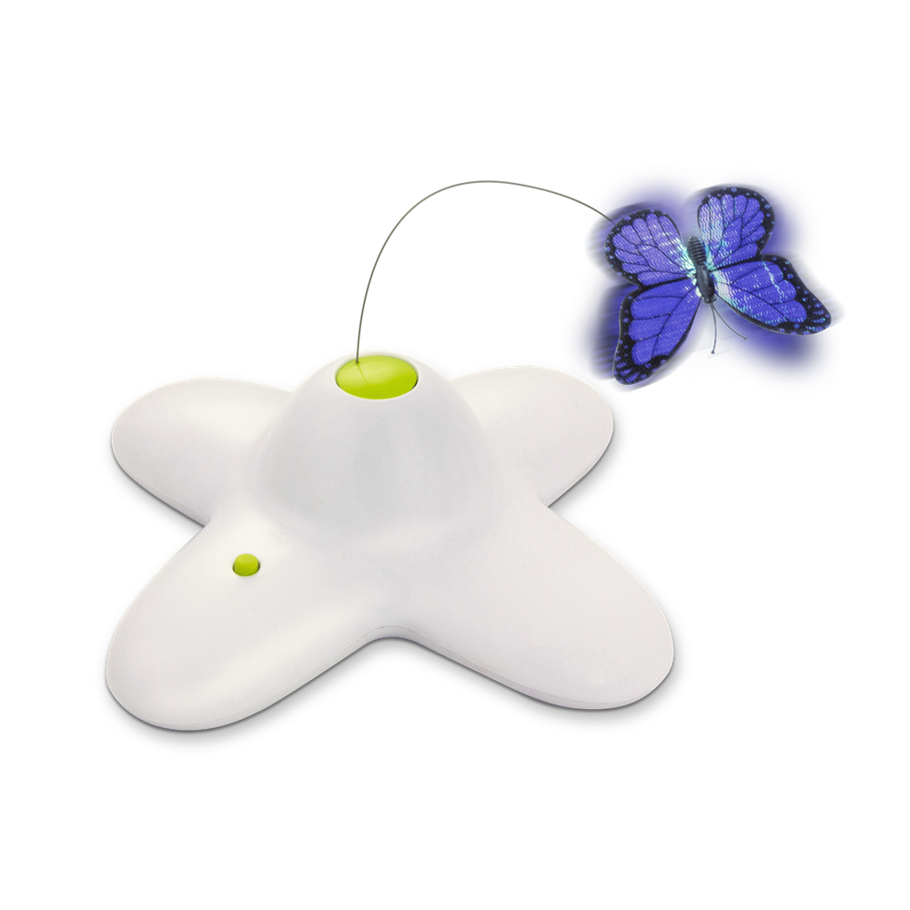 Flutter Bug
