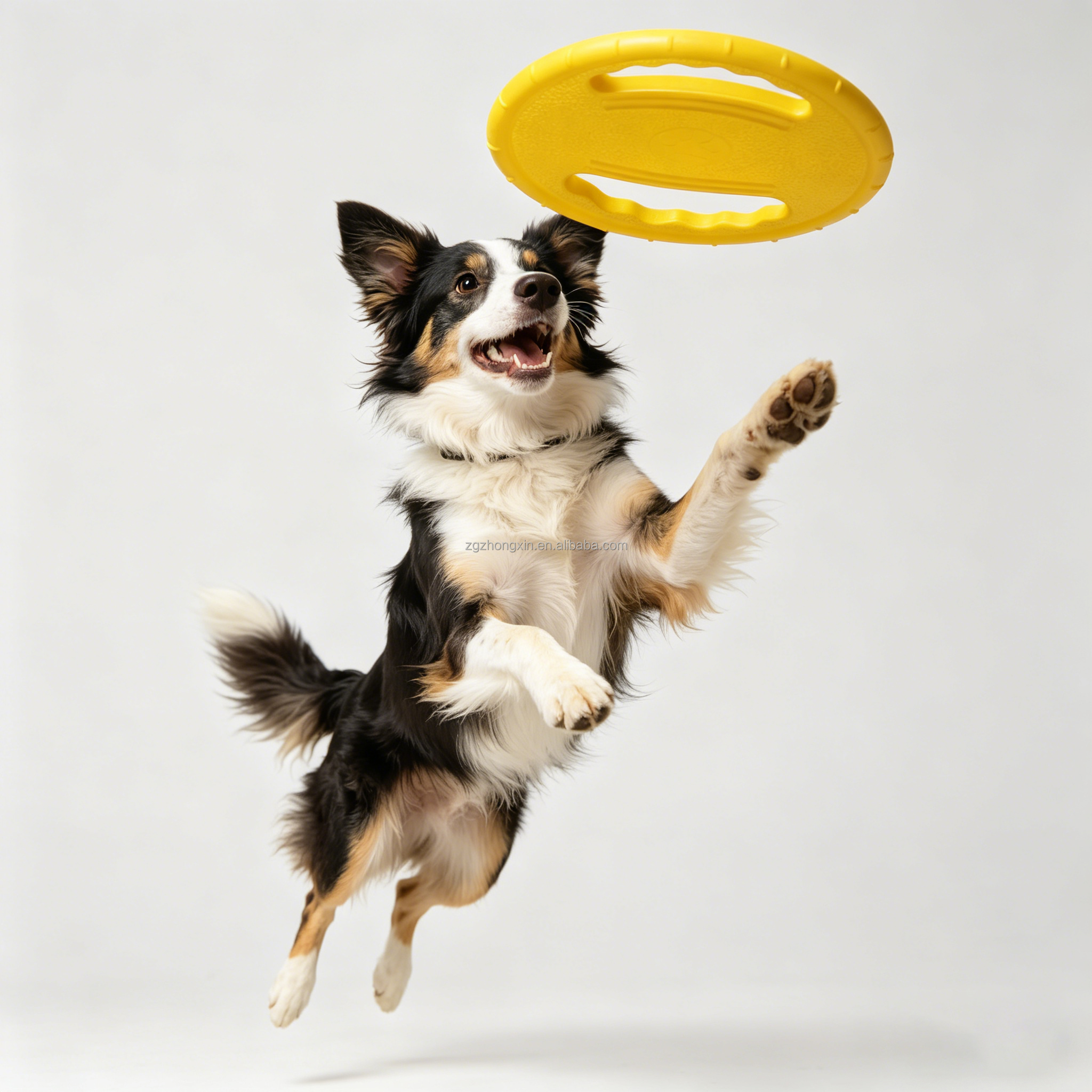 Interactive Dog Training Toy EVA Foam Pull Ring Ball with Rope Floating Waterproof Flying Disc Teething Chew Toy for Small Dogs