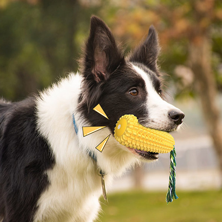 Pet Supplies TPR Sounding Corn Dog Chew Stick Bite-Resistant Toy For Bestseller