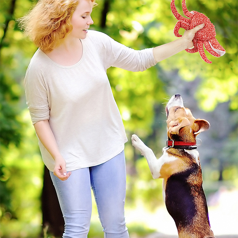 Crab Tug-of-War Plush Dog Toy - Interactive Squeaky Chew Toy with Rope Arms for Aggressive Play