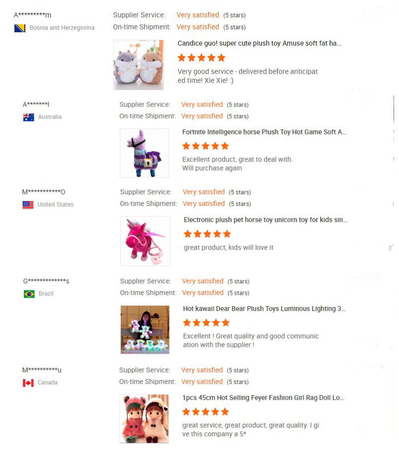 Customer Reviews and Feedback