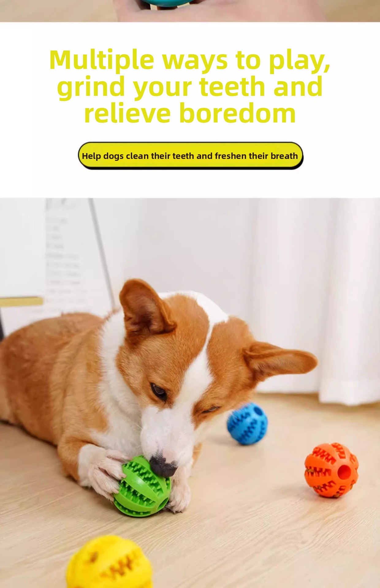 Dog Toy Preview 5