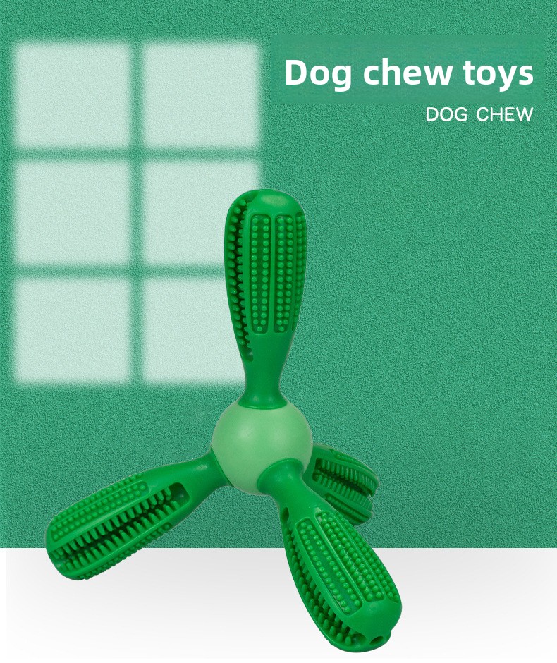 Pet Collar Designs