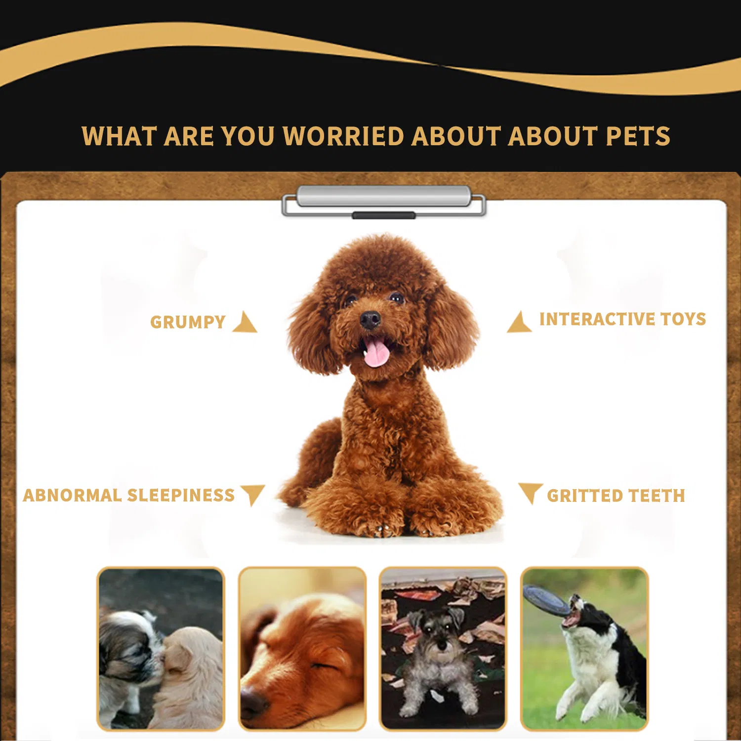 Pet Sounding Treat Dispenser Tumbler Detail 4