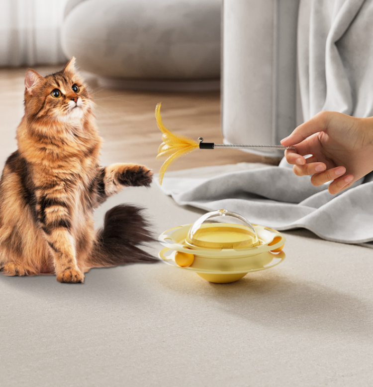 Cat Toy Image 6