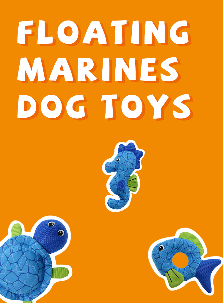 Floating Aqua Friends Feature 2