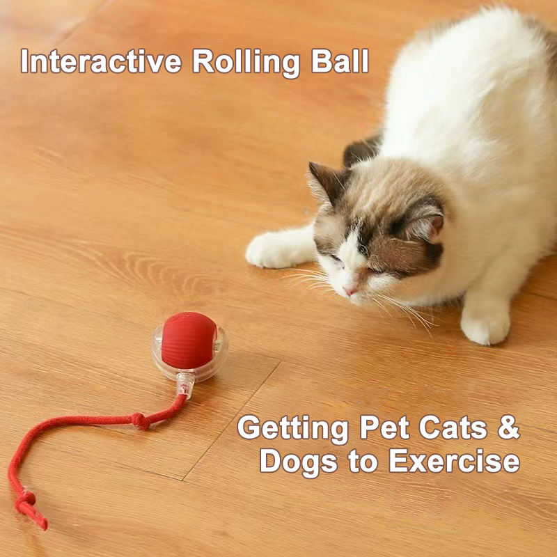 Smart Pet Toy 360&deg; Automatic Interactive Dog Smart Ball Toy With Rope Interactive Cat Toys USB Charger Rolling Ball for Cats