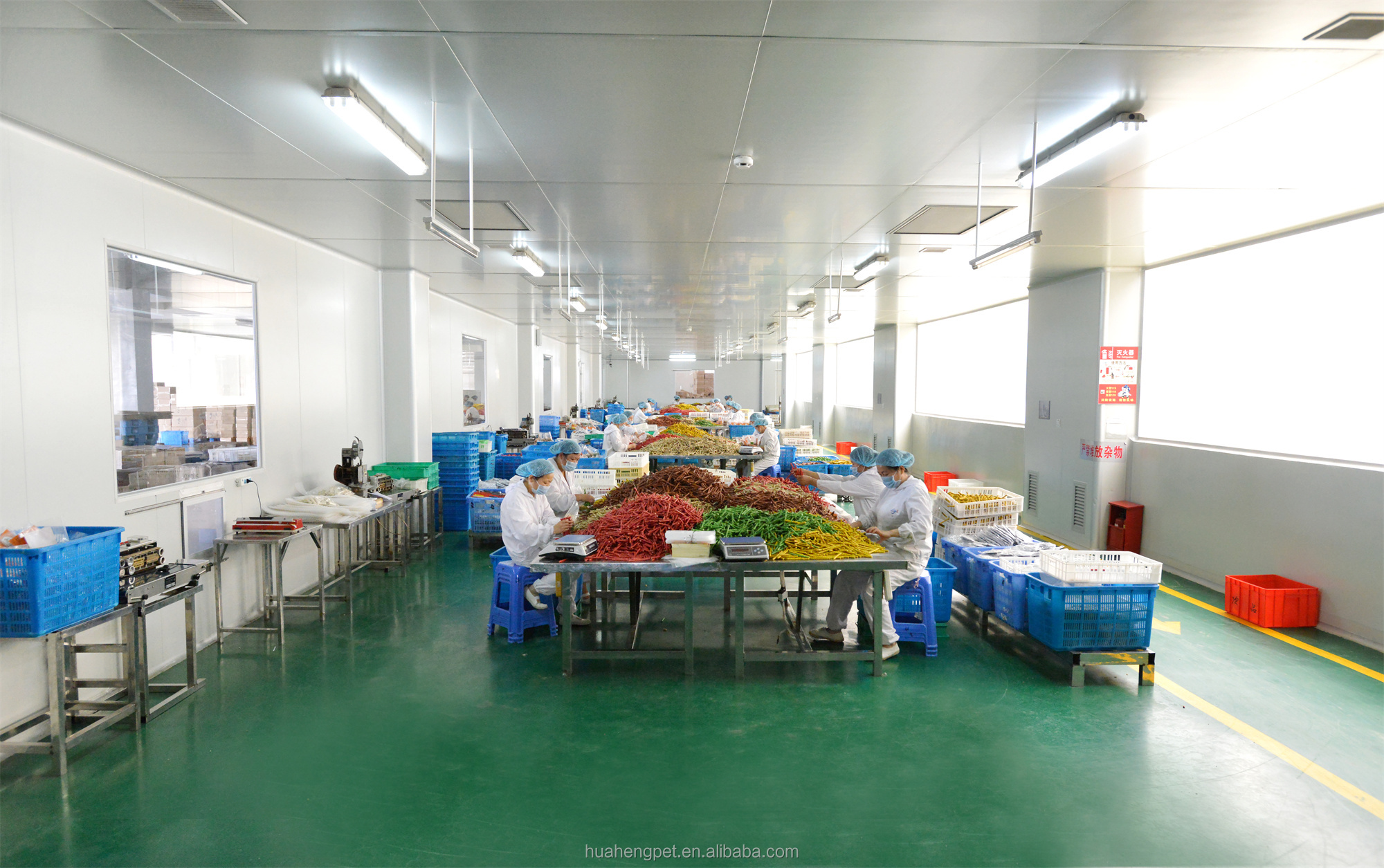 Workshop
