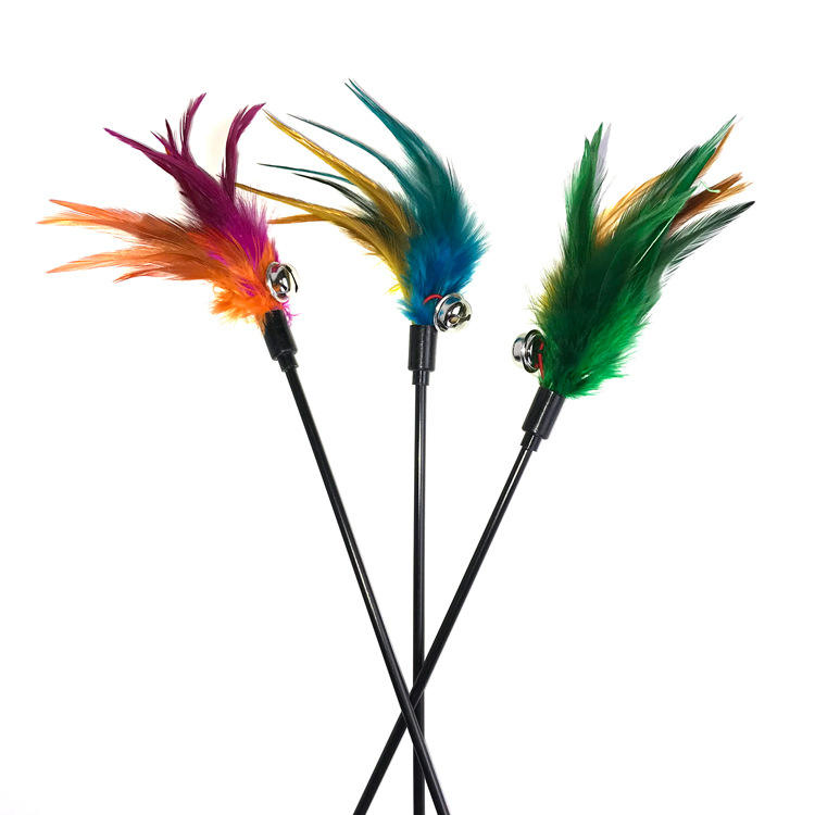 Interactive Cat Feather Wand Toy with Bell for Kitten Teaser Play