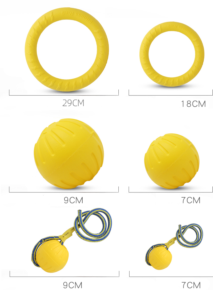 Interactive Pet Toy