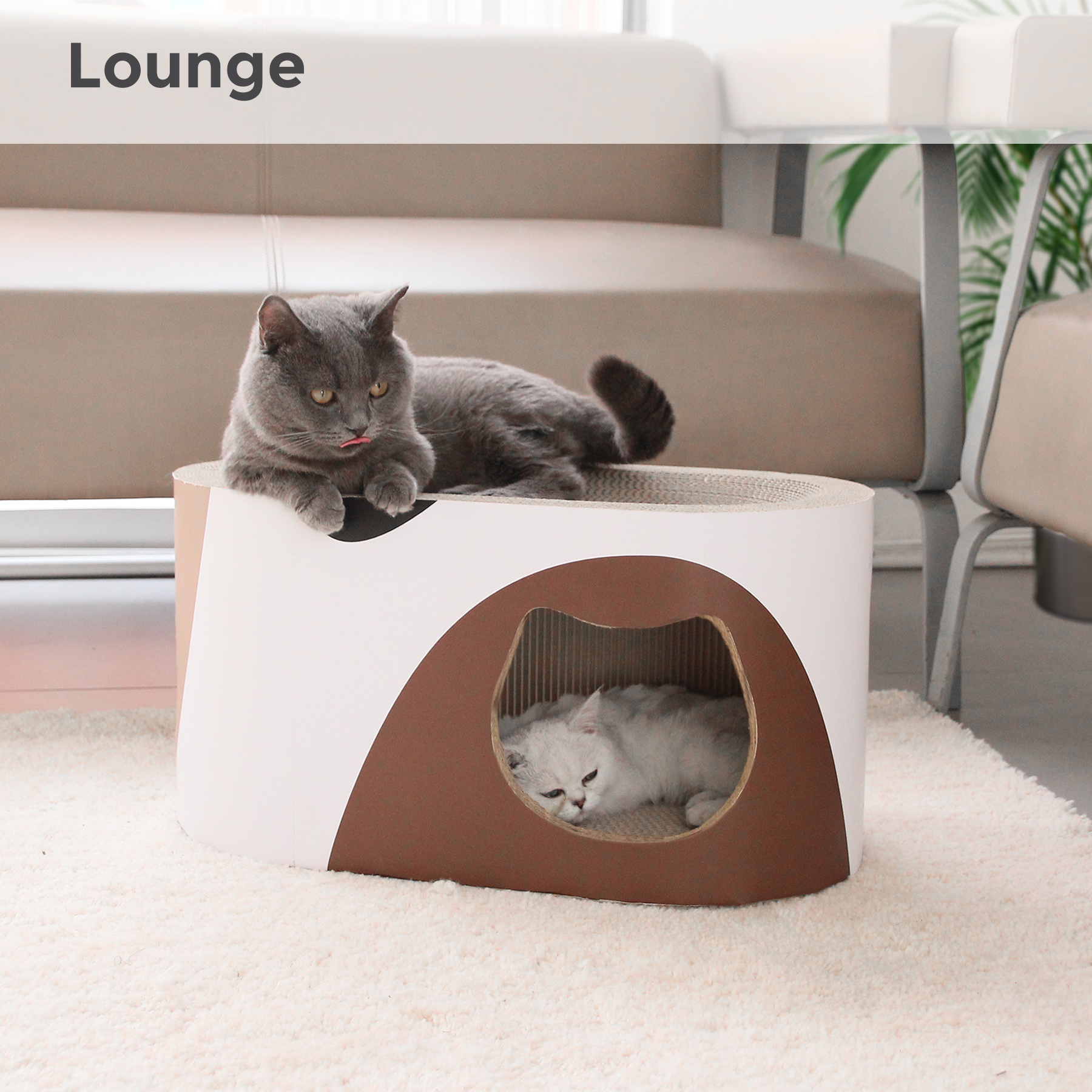 Product View 7