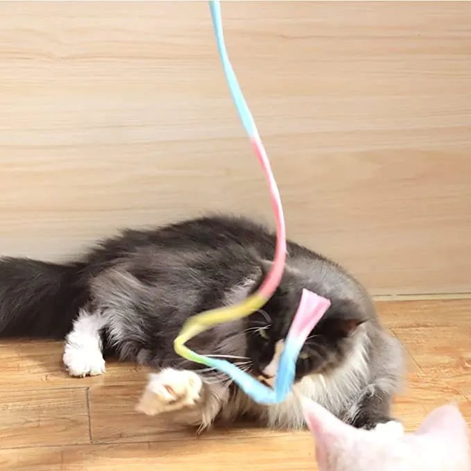 Cat Training Interactive Rainbow Wand Toys Pet Teaser Stick Cat Teaser Wand