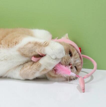 Wholesale Pet Suppliers Retractable Cat Toys Interactive Feather Teaser Wand Pet Cat Toy