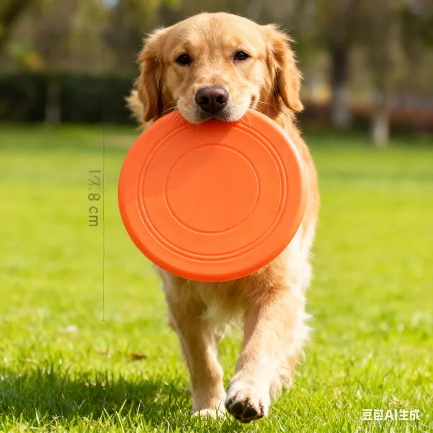 Durable Silicone Dog Flying Disc Outdoor Fetch Toy Pet Training Play Toy