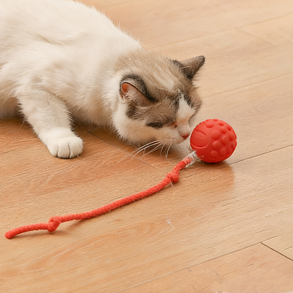Interactive Cat Ball Toy Automatic Rolling Ball With Tail Rechargeable Smart Pet Interactive Toy Intelligent Mouse For Cat