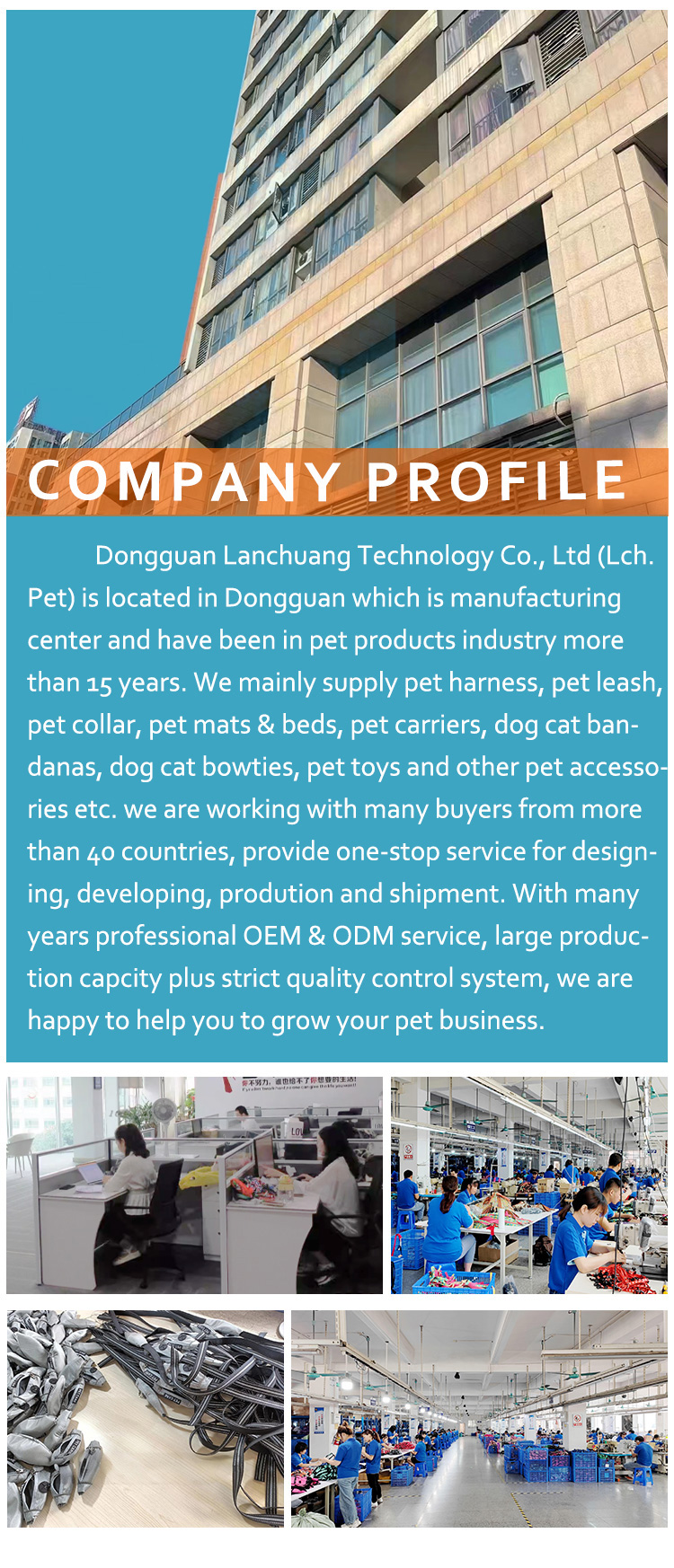 Company Profile Details