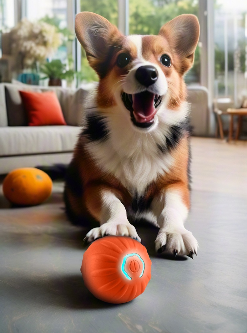 Dropshipping Premium Intelligent USB Rechargeable Electric Rolling Ball Silicone Jumping Ball Safe Interactive Toy For Cats Dogs