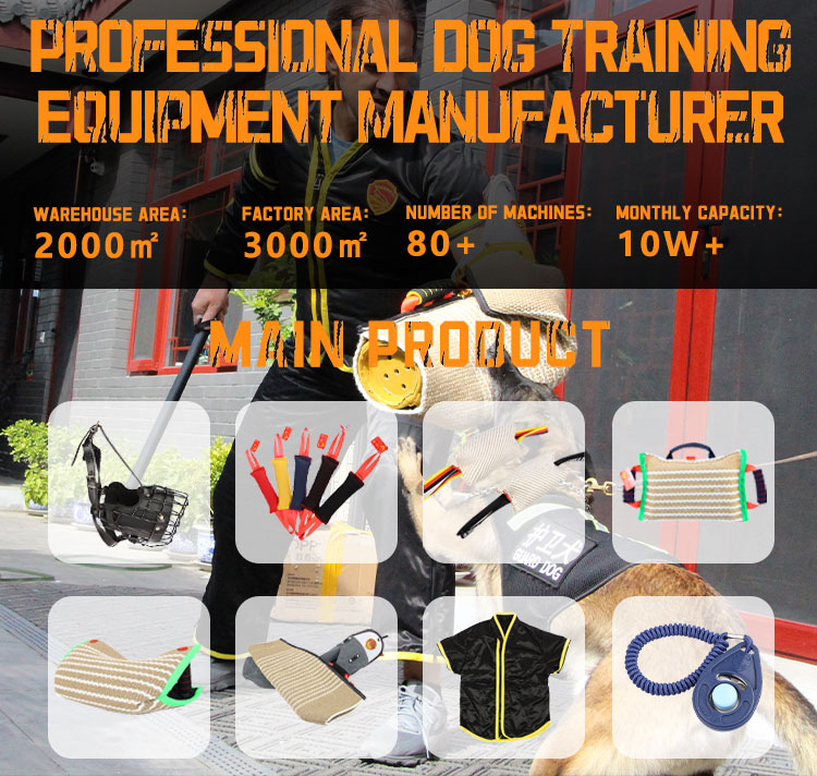 Pet Training Products Main Showcase