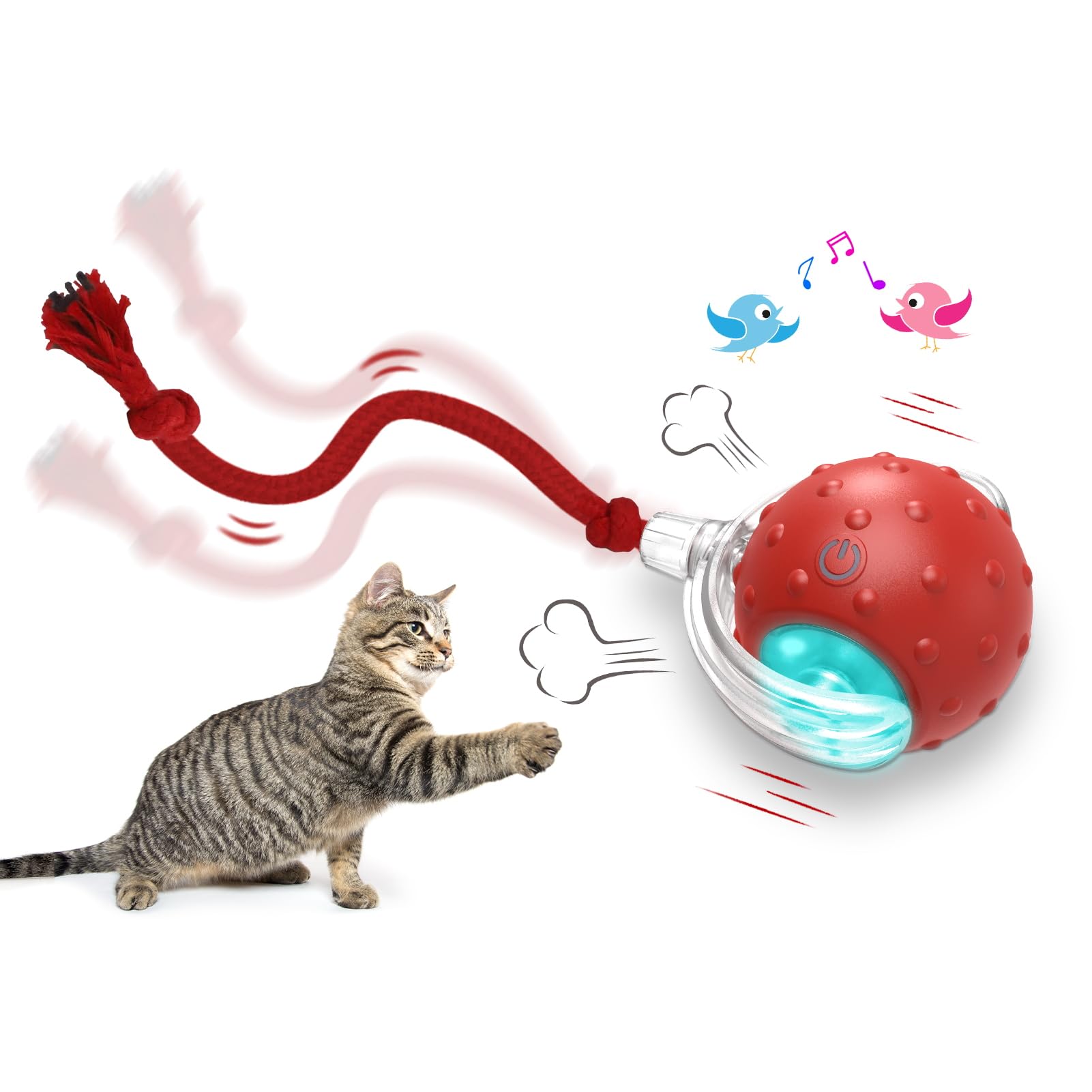 Kangdarpet Electric Smart Auto-Rolling Cat Ball Toy | Rechargeable Interactive Toy with Bird Sound &amp; String