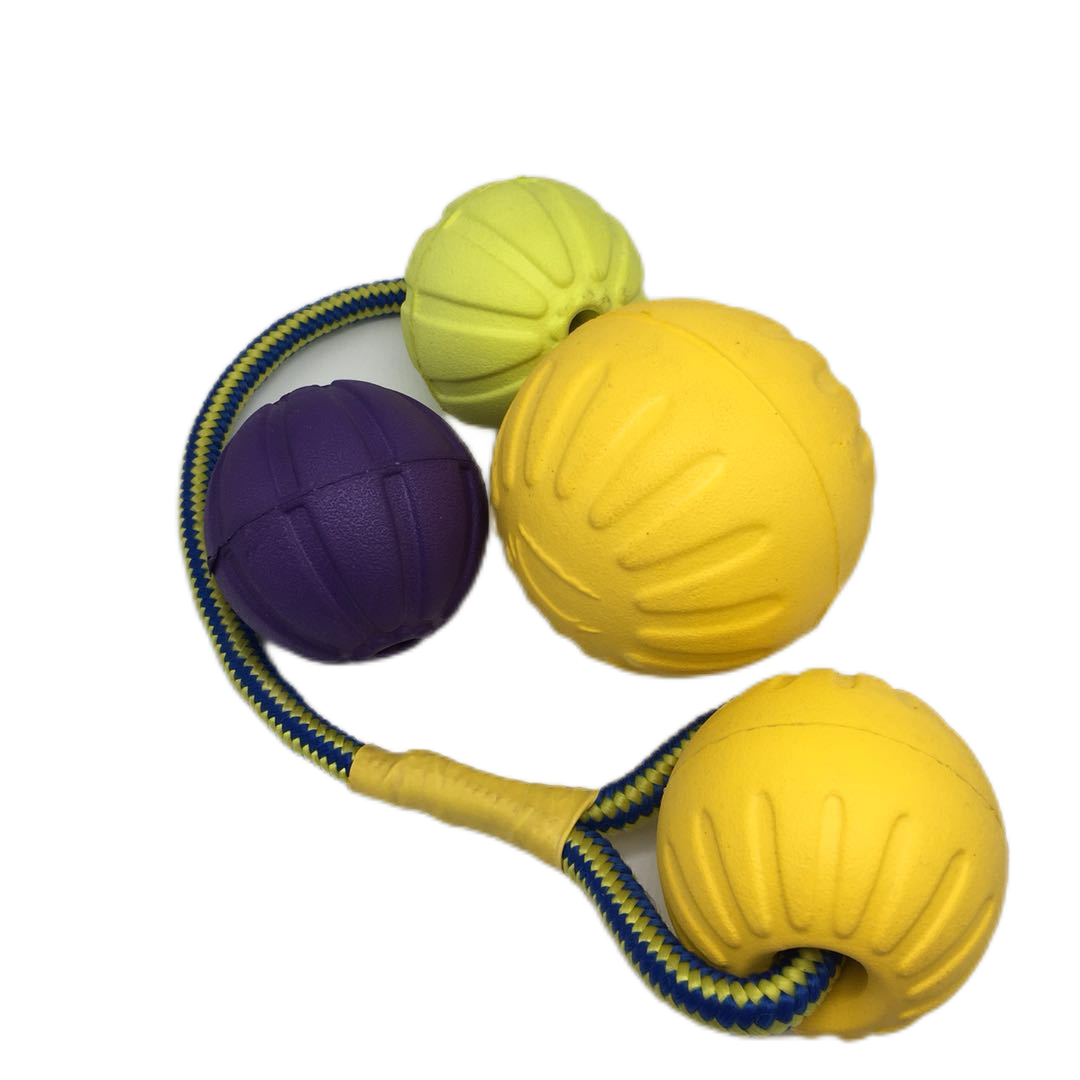 Dog Toy Image 7