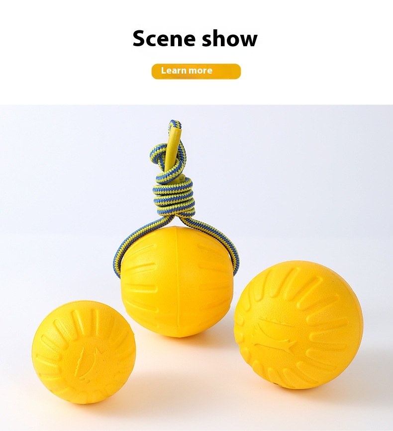 Pet Toy Feature Show 5