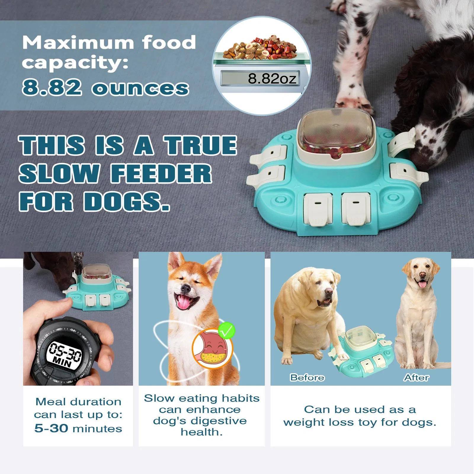 Interactive Waterproof Pet Product Toys Fun Puzzle Design in Three Colors