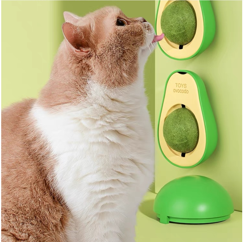 360 Rotatable Classic Plastic Interactive Catnip Ball Treat Toy for Healthy Cat Teeth Cleaning Dental Chew