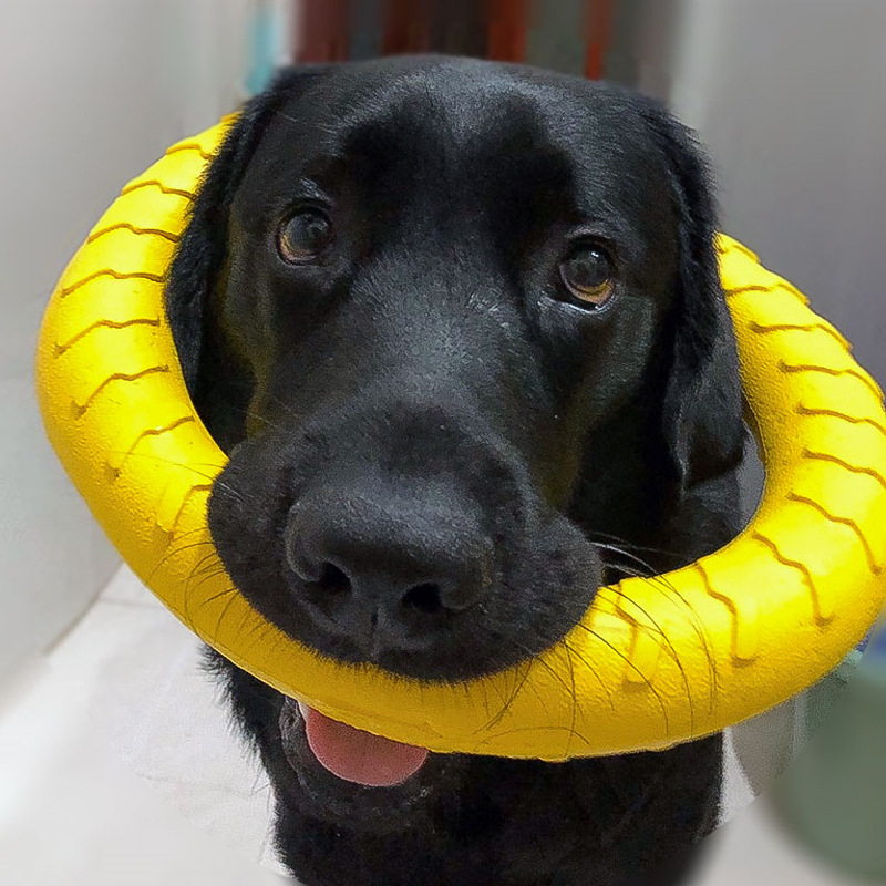 Dog Toys Eco Friendly Natural Latex Outdoor Indoor Fetch Play Flying Disk Saucer Training Interactive Dog Chew Toy