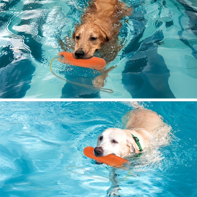 Dog Toy Product Display 4