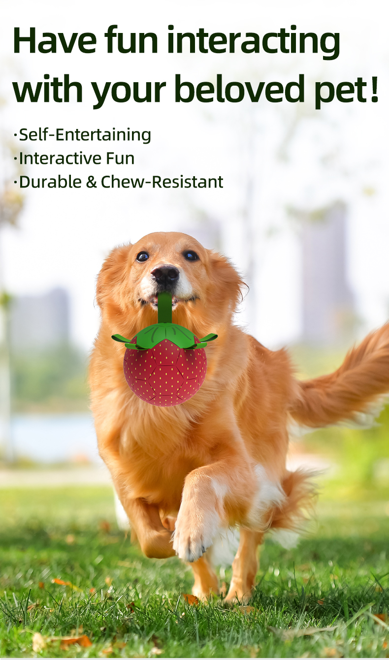 Waterproof Floating PU Eco-friendly Dog Ball Solid Pattern Pool Water Play Fetch Adventures Pet Soccer