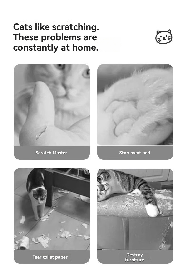 Pet Product Image 2
